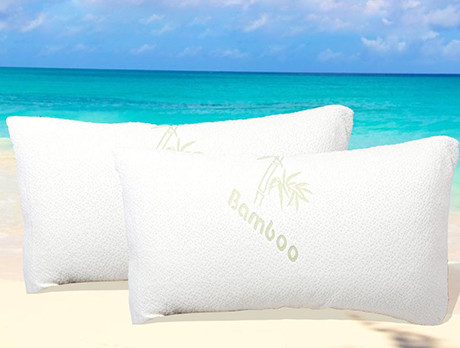 Discounts From The Sleep Easy Bamboo Pillows Sale Secretsales